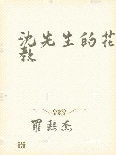 沈先生的花式管教