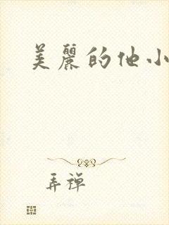 美丽的他小说
