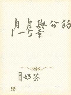 月月与公的激情1一5章