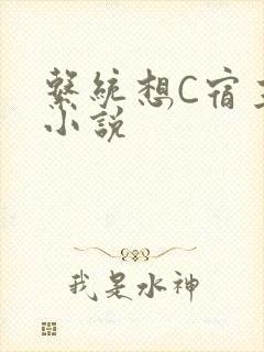 系统想C宿主的小说