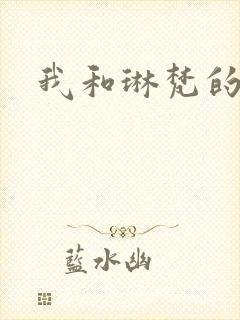 我和琳梵的故事