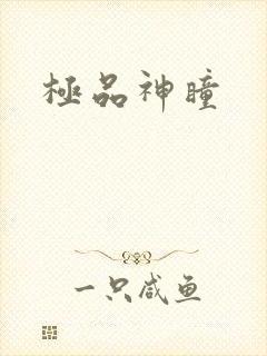 极品神瞳