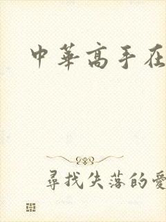 中华高手在异世