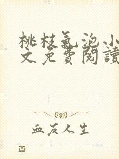 《桃枝气泡小说全文免费阅读》小说封面