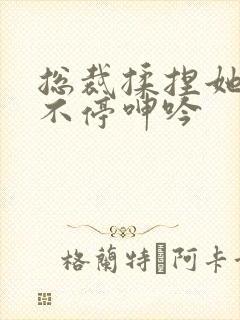 总裁揉捏她两乳不停呻吟