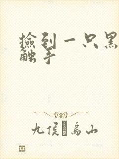 捡到一只黑心小触手