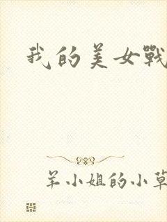 我的美女战队