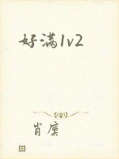 好满1v2