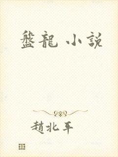 盘龙 小说