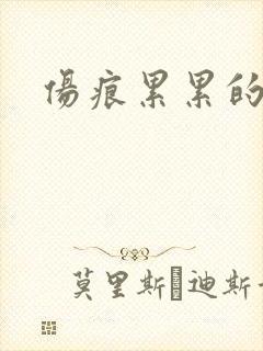 伤痕累累的勋章