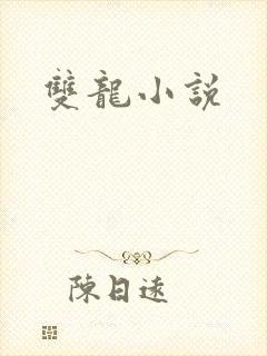 双龙小说