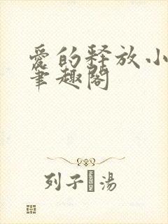 爱的释放小说 笔趣阁