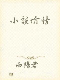 小说偷情