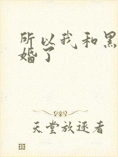 所以我和黑粉结婚了