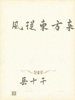 风从东方来封面