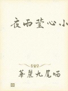 夜雨莹心小说