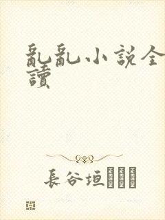 乱乱小说全文阅读