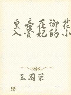 皇帝在御花园进入贵妃的小说