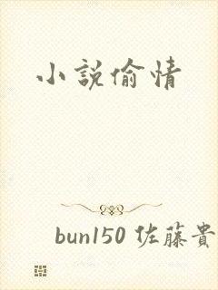 小说偷情