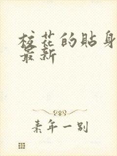 校花的贴身高手最新