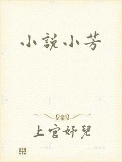 小说小芳