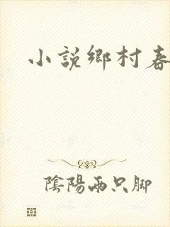 小说乡村春光