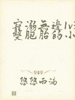 宠溺无边1v3双胞胎的小说