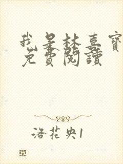 我是林喜宝小说免费阅读封面