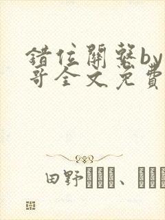 错位关系by东哥全文免费阅读