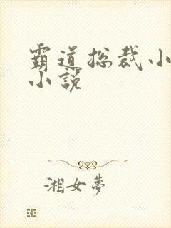 霸道总裁小娇妻小说