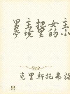 男主把女主拖进梦境里的小说