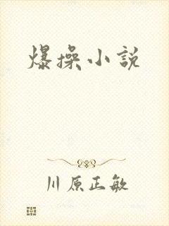 爆操小说