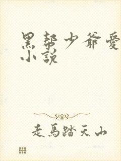 黑帮少爷爱上我小说