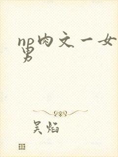 np肉文一女多男