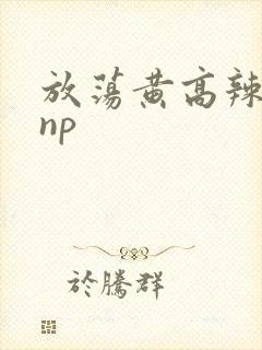 放荡黄高辣h文np