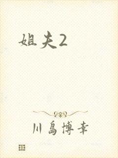 姐夫2