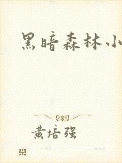 黑暗森林小说
