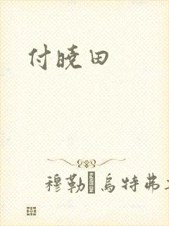 付晓田