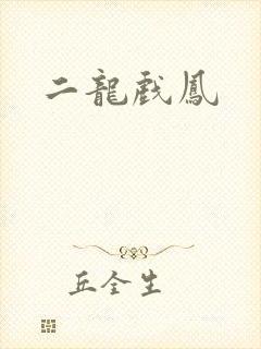 二龙戏凤