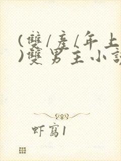 (双/产/年上)双男主小说