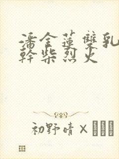 潘金莲双乳晃动干柴烈火