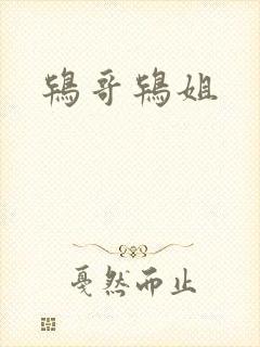 鸨哥鸨姐