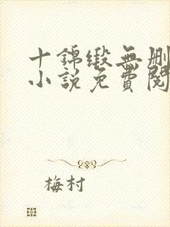 十锦缎无删原著小说免费阅读