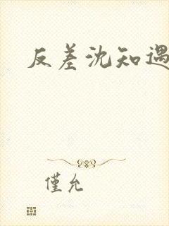 反差沈知遇晏应