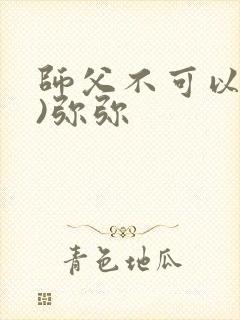 师父不可以(限)弥弥