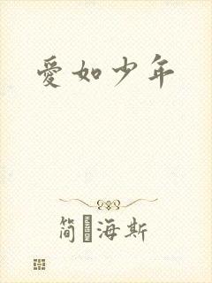 爱如少年