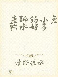 老师的小兔子好软水好多