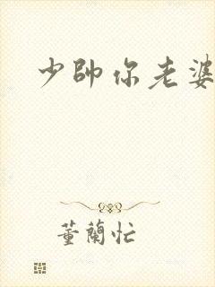 少帅你老婆