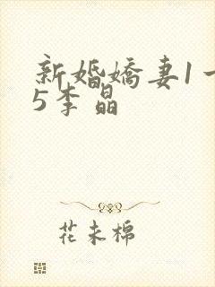 新婚娇妻1一25李晶