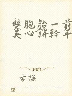 双胞胎一前一后夹心饼干年下